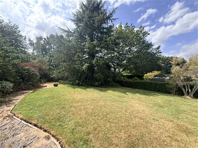 Picture 28
